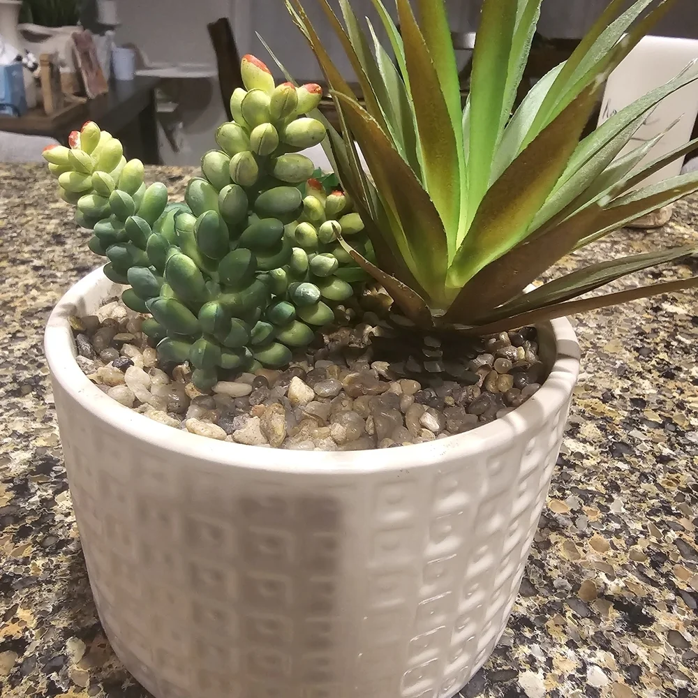 Artificial Green Succulent Arrangement in White Planter